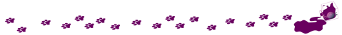 purple dog paw prints against a light grey background run horizontally left to right; the right side has an illustrated ink bottle spilled on its side