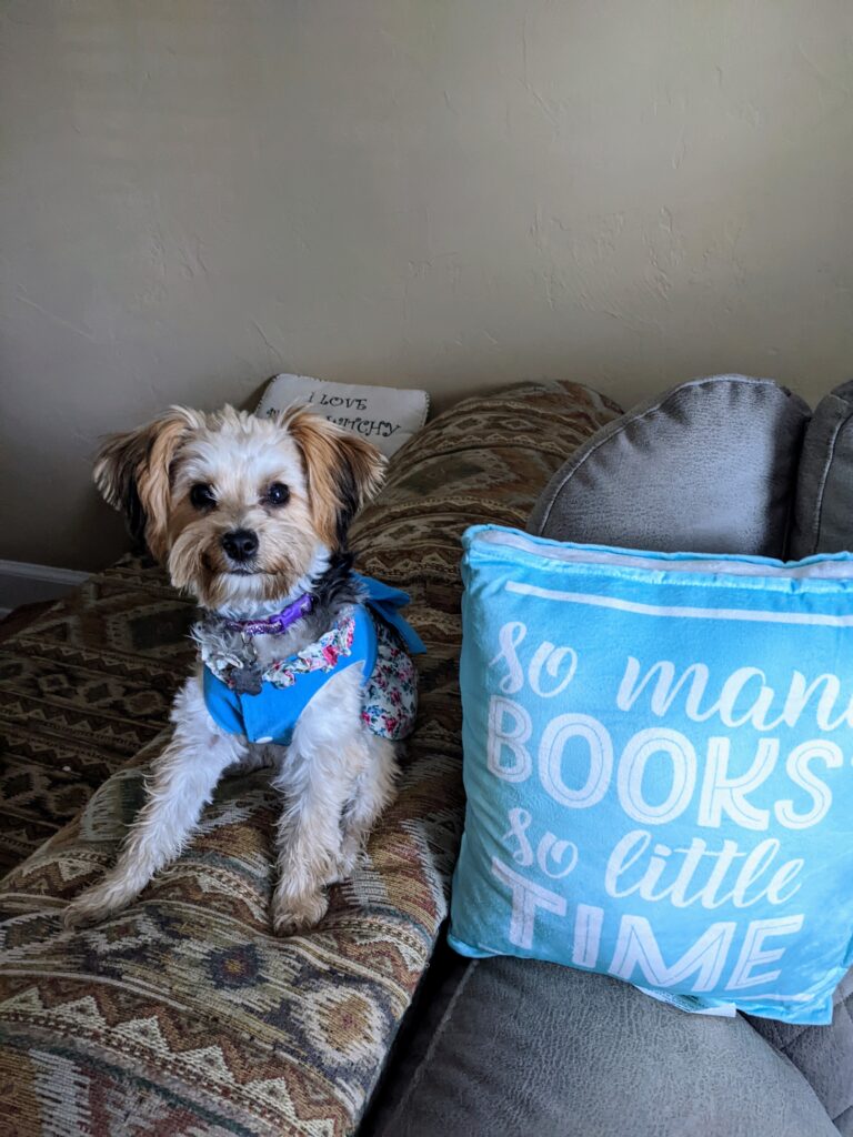 Leilani posing cutely next to pillow so many books so little time